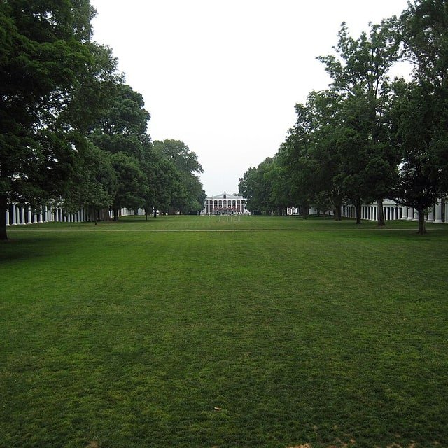 Lawn Grass Seed