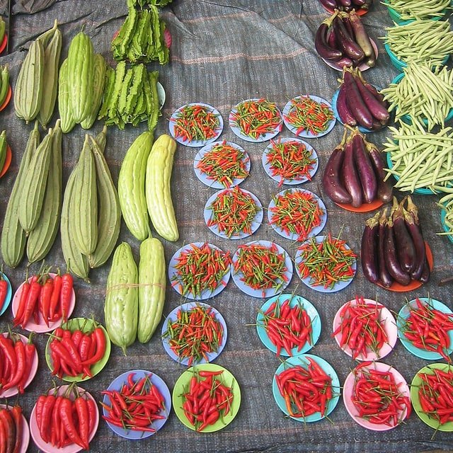 Organic Seed Mix for sowing